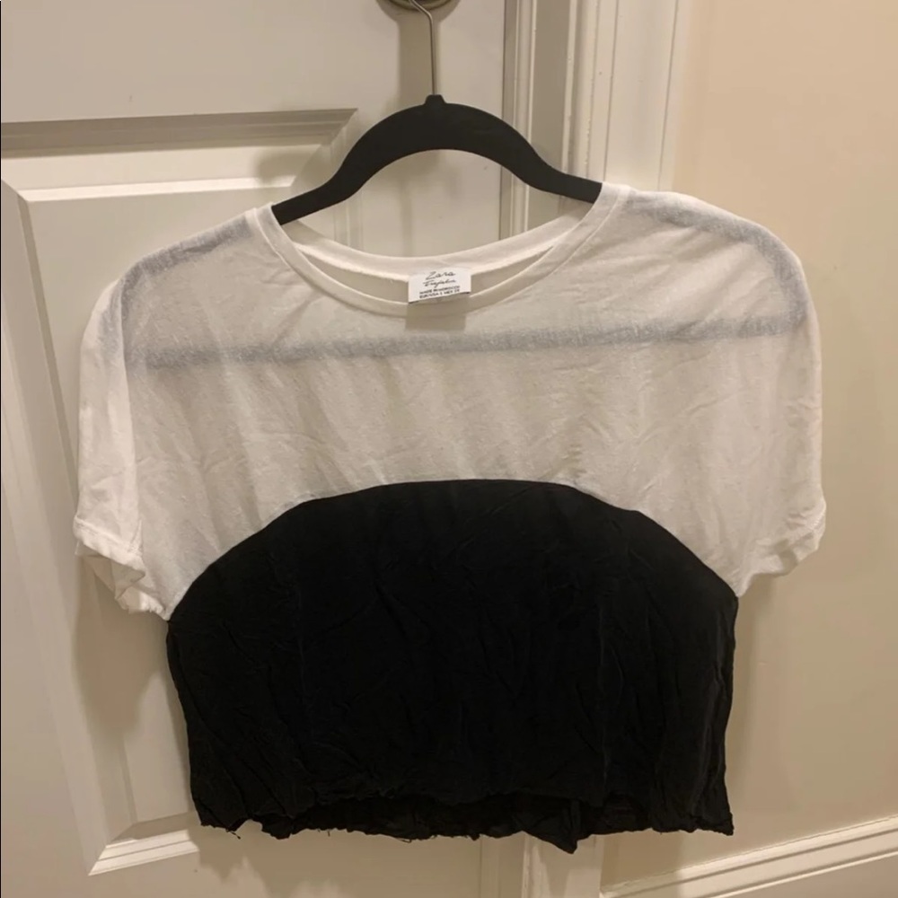 Zara crop tshirt
